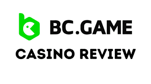 Understanding the Diverse Payment Options on BC.Game